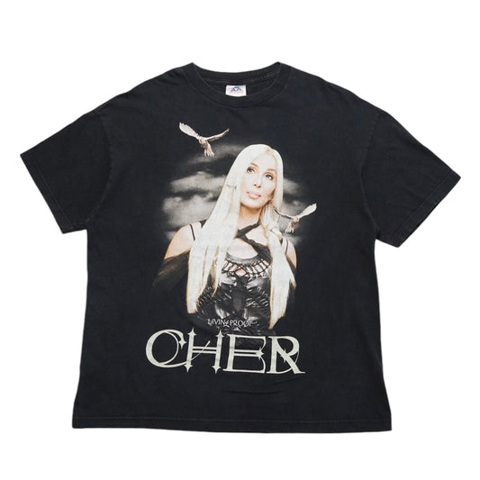 2000s Cher "Farewell" Size: L/XL